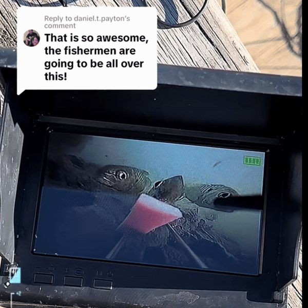 Underwater fish finder Camera